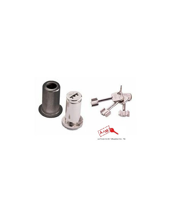 ISEO CILINDRO POMPA MM 60 ART 990012