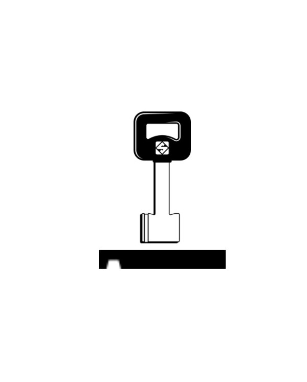 GBZ1P CHIAVE SICUREZZA