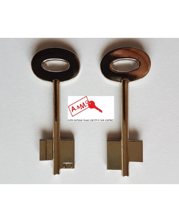 CHIAVE GREZZA PER CASSAFORTE WK CV-TLS
