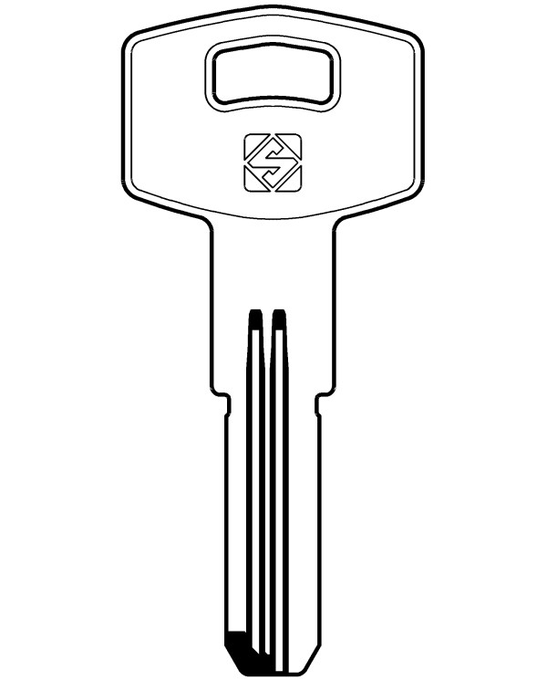 FI3R CHIAVE CILINDRO PUNZONATA