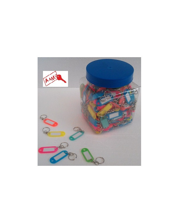 TARGHETTA CON GIVOLARE CNF 300 PZ ART 55TN