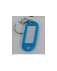 TARGHETTA CON GIVOLARE CNF 100 PZ CELESTE ART 55TN