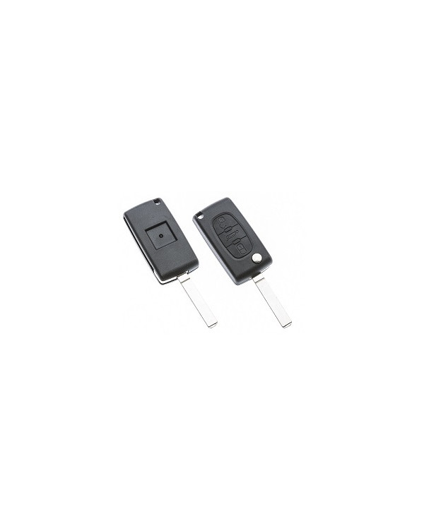 VA2BRS8 GUSCIO CHIAVE AUTO 3 PULSANTI