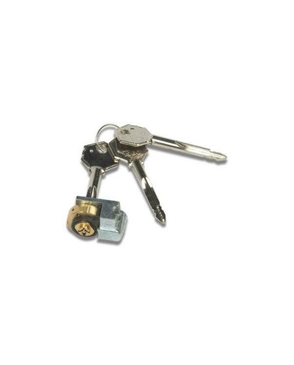 ISEO CILINDRO SPILLO CHIAVE LUNGA ART 990890