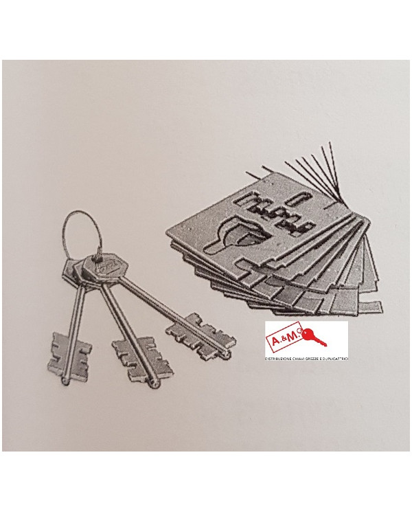 POTENT GORGES PER SERRATURA 1900 DX ART 1829/D