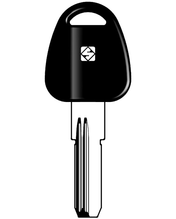 PT6RP CHIAVE CILINDRO PUNZONATA