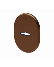 SECUREMME MOSTRINA DM 62X82 BR ART 4301KF4