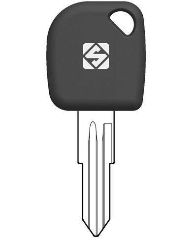 DWO6BTE CHIAVI AUTO PREDISPOSTE CHIP