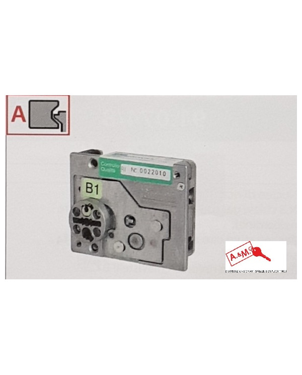 MOTTURA NUCLEO REPLAY DX ART 91064DB