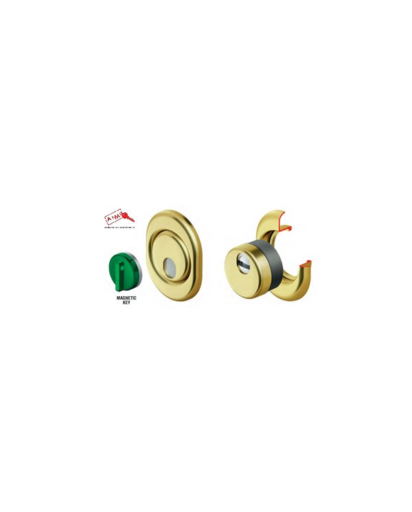 DISEC PROTEZIONE MAGNETICA CIL BR ART MRM29