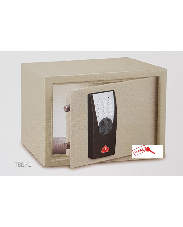 TSE2 CASSAFORTE SERIE HOME H 250 X L 350 X P 250