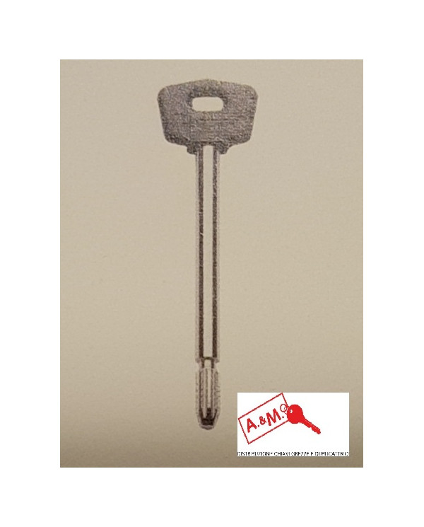 MOTTURA CHIAVE SPILLO GAMBO MM 50