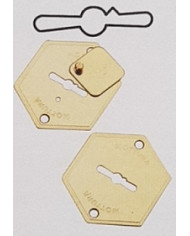 MOTTURA COPPIA MOSTRINE OTTONE  DOPPIA MAPPA