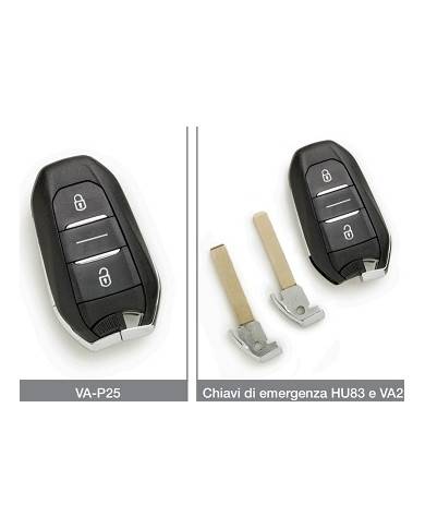 VA-P25 RADIOCOMANDO CHIAVE AUTO 3 PULSANTI