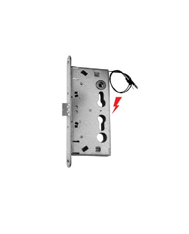 ISEO ELETTROSERRATURA ANTIPANICO DIN SX E65