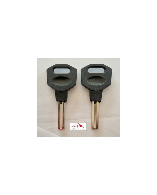 ILSA CHIAVE PER CAVI PROFILO SPECIALE BK035