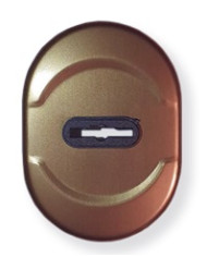 DIERRE MOSTRINA CORTA DM BR ART 63QR