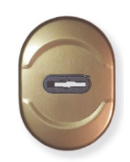 DIERRE MOSTRINA CORTA DM OTT ART 63QTR