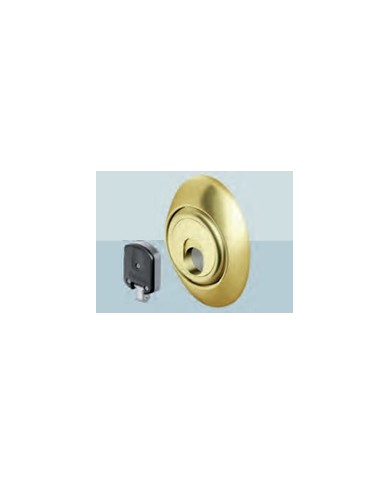 DISEC PROTEZIONE MAGNETICA CIL MAG3 BR ART 3G3STB