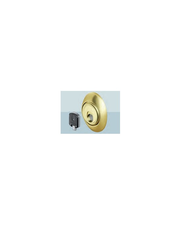 DISEC PROTEZIONE MAGNETICA CIL MAG3 BR ART 3G3STB