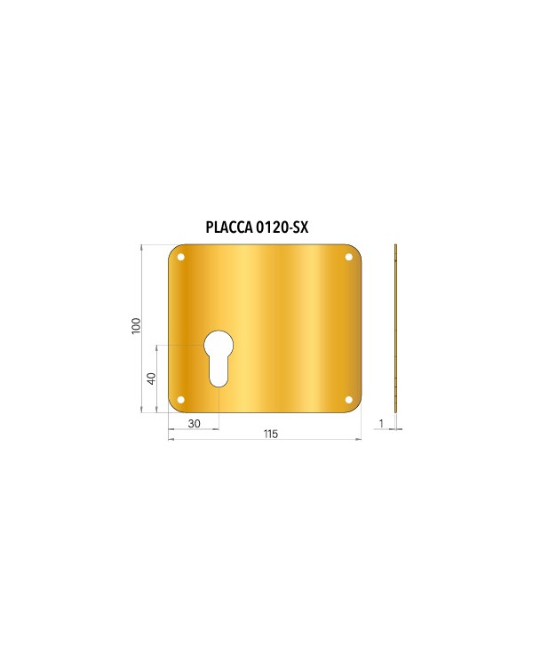 PLACCA PER CILINDRO SX BRONZO PVD 100X115