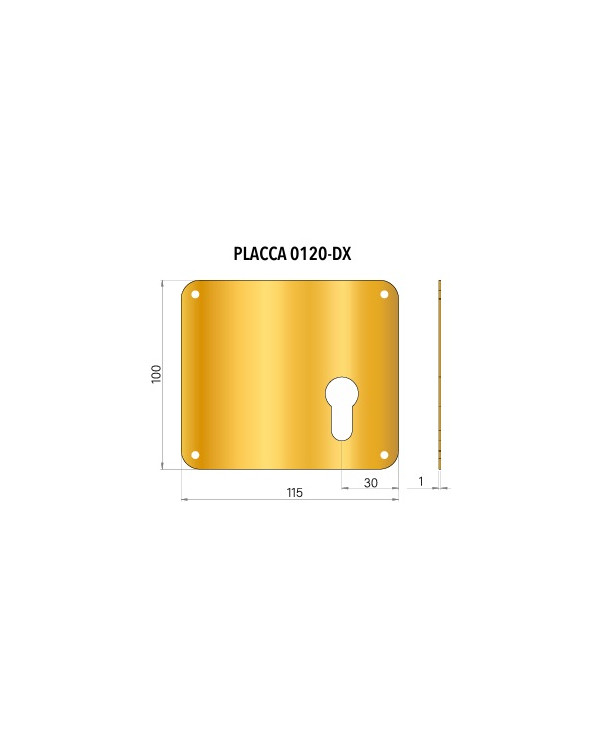 PLACCA PER CILINDRO DX CROMO SAT PVD 100X115