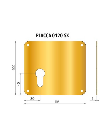 PLACCA PER CILINDRO SX CROMO SAT INOX 100X115