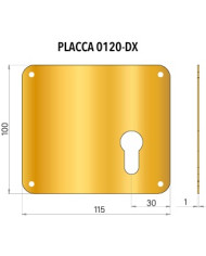 PLACCA PER CILINDRO DX OTTONE PVD 100X115