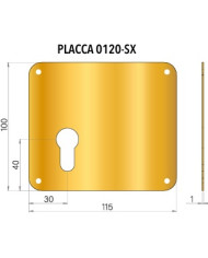 PLACCA PER CILINDRO SX OTTONE PVD 100X115