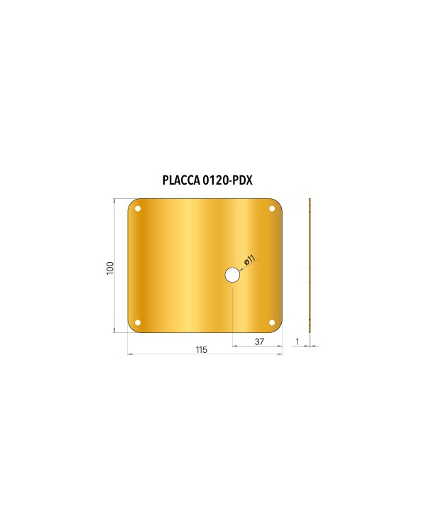 PLACCA PER CODOLO CILINDRO DX OTTONE PVD 100X115