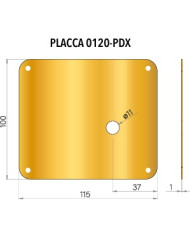 PLACCA PER CODOLO CILINDRO DX OTTONE PVD 100X115