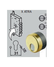 DISEC PROTEZIONE MAGNETICA CIL OTT ART MRM39