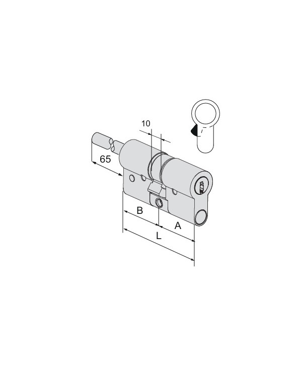 CISA CILINDRO RS5 35-30 CODOLO