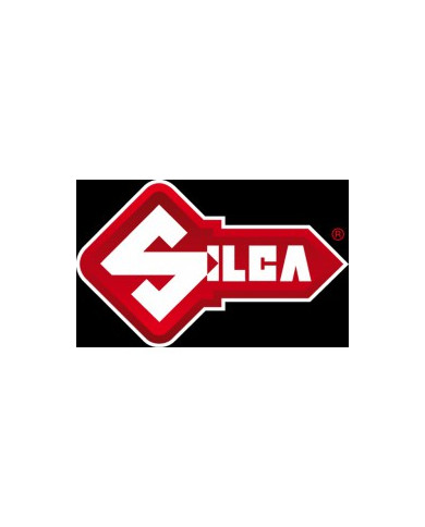 TARGHETTA LEGGERA SILCA  CNF 200 PZ  AVK201620